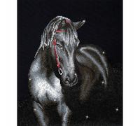 DIAMOND DOTZ DD10 - Kit intermedio, stallone mezzanotte, 53 x 42 cm