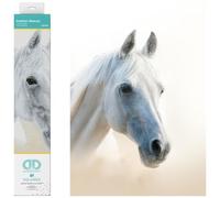 DIAMOND DOTZ Squares DQ8 - Kit Intermedio, Arabian Beauty, 31 x 41 cm