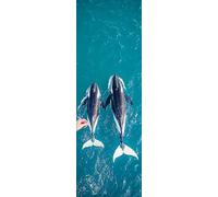 Diamond Painting Adulti Oceano Kit Diamond Painting Grandi Dimensioni 120x40cm 5D Pittura Diamante Balena Strass Ricamo Punto Croce Kit Passatempo per Adulti per Regalo Donna Decorazioni Casa Y-39