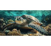 Diamond Painting Adulti tartarughe marine Pittura Diamante Grandi Dimensioni Animali Diamond Art Kit 5D Diamantini Crystal Art Kit Pittura Diamante, Regalo Donna, Decorazione da Parete, 70x140cm s-82