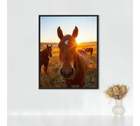 Diamond Painting Animale, Diamond Painting Erwachsene Cavallo Bastelset, DIY Diamant Malerei Runder Vollbohrer Diamanten Kinder Malerei Stickerei Kreuzstich Dekoration, Geschenk 60 x 80 cm PJY9 6-D