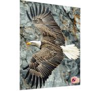 Diamond Painting Aquila Diamond Painting Adulti Animale Pittura Diamante Kit Passatempo per Adulti, DIY Quadri con Perline Kit Completo 5D Diamantini Crystal Art Pittura per Decor Casa 40x50cm G-46