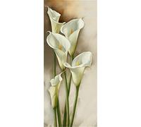 Diamond Painting,Dipinti con Numeri,Diamond Painting Kit Completo, Grandi Dimensioni Adulto Ricamo con Perline Puzzle Mosaico Pittura Diamante 5D Art Crafts Gift, Fiore di Calla 40x80cm