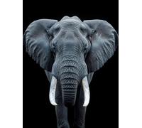 Diamond Painting Elefante Diamond Painting Adulti, Pittura Diamante Animale, 5D Diamantini Crystal Art, Fai da Te Principiante Ricamo a Punto Croce Artigianale Kit, Decorazioni Casa 20 x 30 cm -yx6IR