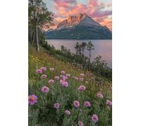 Diamond Painting Fiori Diamond Painting Kit Completo Lago Disegni con Perline da Attaccare, 5D Strass Ricamo a Punto Croce, Diamantini Crystal Art Pittura a Diamante, per Decorazioni 50x75cm X-870