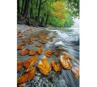 Diamond Painting Foresta Pittura Diamante Natura Diamond Painting Adulti, Diamantini Crystal Art 5D DIY Strass Ricamo a Punto Croce Artigianale per Decorazioni Casa, Regalo Donna 30X40Cm -bby25077K