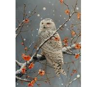 Diamond Painting Gufo Diamond Painting Adulti, Pittura Diamante Scena di Neve, 5D Diamantini Crystal Art, Fai da Te Principiante Ricamo a Punto Croce Artigianale Kit, Decorazioni (60 * 80cm) -yx6GA
