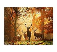 Diamond Painting Kit 5D Foresta Dei Cervi Diamond Painting Adulti Quadri con Perline Bambini Diamond Painting Kit 5D Full Strass Ricamo Diamond Painting Grandi Dimensioni Home Wall Decor 30x40cm