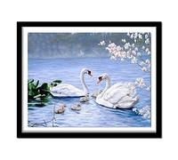 Diamond Painting Kit 5D Il lago dei cigni,Pittura Diamante Kit Bambini Adulti Fai Da Te Strass Ricamo Punto Croce Diamond Arts Craft per la Decorazione Della Parete di Casa Square Drill,40x60cm