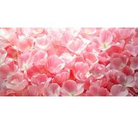 Diamond Painting Kit Adulti Completo, DIY 5D Fiori rosa Diamond Painting Bambini, Fai-da-te Rotondo Pittura Diamante Strass Punto Croce Artigianale per la Decor Della Parete di Casa 50x100cm, P2949