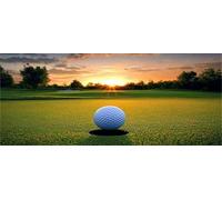 Diamond Painting Kit Completo 5D Adulti Golf Square Drill Pittura Diamante Quadri con Perline per Principianti e Bambini, Pittura con Diamanti per Decorazione per Casa e Pareti 50x120cm Ap16736