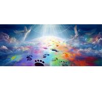Diamond Painting Kit Completo 5D Adulti Ponte Sogni Round Drill Pittura Diamante Quadri con Perline per Principianti e Bambini, Pittura con Diamanti per Decorazione per Casa e Pareti 50x100cm Ap9924
