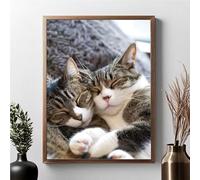 Diamond Painting Kit Completo Animale Diamond Painting Adulti Gatto 5D DIY Pittura Diamante, Strass Ricamo a Punto Croce Pittura Kit Crystal Art per Decorazione, Regalo Donne 40x50cm JPF 7-1