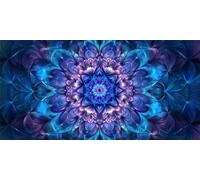 Diamond Painting Kit Completo, DIY Diamond Painting Adulti Grandi Dimensioni, 5D Quadrato Pittura Diamante Mandala blu Crystal Punto Croce Artigianale per Decor Della Parete di Casa 90x180cm, P3688