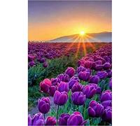 Diamond Painting kit Completo, Hobby Creativi Adulti 5D Diamond Painting Disegni con Perline da Attaccare Ricami a Croce per la Decorazione Della Parete Domestica Tulipani al tramonto 35x50cm Z-7366