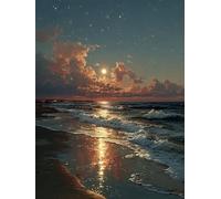Diamond Painting Kit Completo Il Cielo Stellare, Pittura Diamante 5D DIY Adulti, Spiaggia Diamante Painting, Strass Ricamo a Punto Croce Pittura Kit Craft Arts Regalo, Decor Della Casa 40x50cm F-551