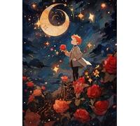 Diamond Painting Kit Completo, Il piccolo principe nel roseto, L 30 * 40cm Kit di Pittura a Diamante per Adulti,Pittura 5D Diamante Kit d'arte per Casa Regali Decorazione Murale
