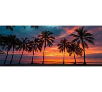 Diamond Painting Kit Completo Paesaggio, 5D Diamond Painting Alba Al Tramonto Albero di Cocco 50x25cm, Pittura Diamante per Adulti, Diamantini Crystal Art Decorazione per Casa e Pareti -LR372