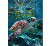 Diamond Painting Kit Completo Pesce, Pittura Diamante 5D DIY Adulti, Tartarughe Marine Diamante Painting, Strass Ricamo a Punto Croce Pittura Kit Craft Arts Regalo, Decorazione Della Casa 40x50cm F561