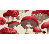 Diamond Painting Kit Completo Rouge, Quadri Diamond Painting Adulti Les champignons, Diamantini Crystal Art, Pittura Diamante Passatempo Per Adulti, Adatto Decorazione Della Casa 50x100cm g-286