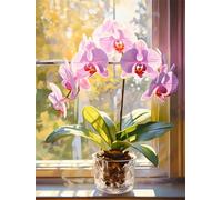 Diamond Painting Kit, Orchidea in vaso di fiori, F, 50 * 70 cm 5D Full Pittura Diamante,Disegni con Diamantini,Quadri con Perline,Puzzle con Perline Brillantini per Pittura Pareti Punto Croce Kit Mos