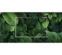 Diamond Painting Les plantes Adulti Bambini Kits, Diamond Painting Kit Completo Géométrie, Full Drill Pittura Diamante, Diamantini Crystal Art Quadri Con Perline, Autunno Regalo 100x200cm g-942