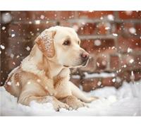 Diamond Painting Personalizzato, Diamond Painting Kit Completo, 5D Diamond Painting Adulti, DIY Pittura Diamante da Foto Regalo per la Decorazione di Arte Domestica 47.2X35.4in/120x90cm Kz-27