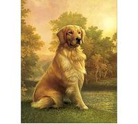 Diamond Painting Square Drill 40x50 cm Quadri Punto Croce da Ricamare kit Completo Cani Golden Retriever DIY 5D Dipingere con i Numeri Cani Diamond Painting Cane Quadro Ricamo Punto Croce Animale