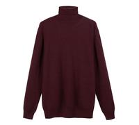 Diana Studio - Dolcevita in Cashmere & Lana, Uomo, Maniche Lunghe, Casual Fit, Bordeaux, M