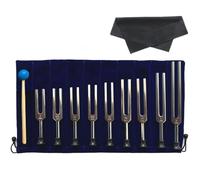 Diapason Set 9 Pezzi, Terapia del Suono, Forchette in Alluminio, Mazzuolo, Custodia, Panno, Solfeggio