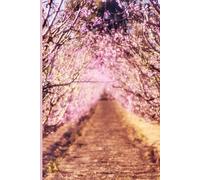 Diario campo de nectarina