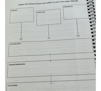 Diario completo di analisi della rabbia per la gestione delle emozioni per il posto di lavoro e l'uso quotidiano diario di monitoraggio dell'umore