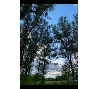 Diário de 60 Dias de Microações: Pequenos Passos Diários para Transformação Pessoal Duradoura