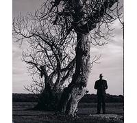 diario de una tregua