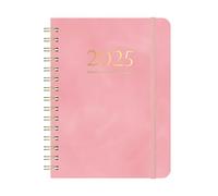 Diario del planner 2025, agenda del giorno 2025, agenda multifunzione, agenda portatile, 2025, diario settimanale e mensile, perfetto per organizzare la pianificazione