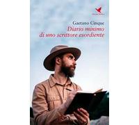Diario minimo di uno scrittore esordiente