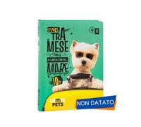 COMIX PETS - Diario Scuola, Agenda Giornaliera 12 Mesi per Bambini e Ragazzi, con Copertina Imbottita e 320 Pagine Colorate, Ideale per Scuola Elementare e Media, 13x17.8 cm, Verde