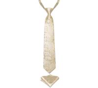 DiBanGu Cravatta prelegata per ragazzi in seta e fazzoletto quadrato da taschino, set per età 7-15 anni, Champagne, Taglia unica