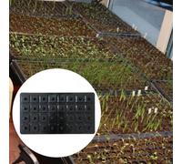 Dibber di semi che stabilisce il giardinaggio con la maniglia che esegue