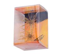 Dice Baits | 2 Pezzi Riccio di Mare Realistico Colorato ad Affondamento Lento | Esche a Dado Pelose - Per Acque Salate Dolci Fiumi Laghi Torrenti Bacini Lungo Le Rive