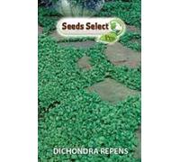 DICHONDRA REPENS BARATTOLO GR 500