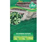Dichondra Repens Olter Disponibile nei Formati da 100 - 200 GR