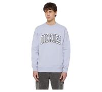 Dickies Aitkin Sweatshirt Grigio M Uomo