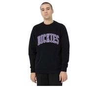 Dickies Aitkin Sweatshirt Nero S Uomo