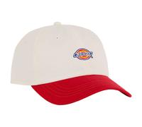 Dickies Cappellino Con Visiera Hardwick Two Tone