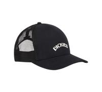 Dickies - Cappellino Shawsville con Logo - - Accessories - Uomo - Nero - ONE SIZE