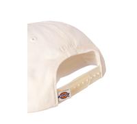 DICKIES - Cappello unisex Hardwick in cotone
