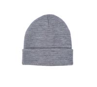 Dickies - Gibsland - Berretto grigio One Size