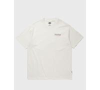 DICKIES FAIRLAWN SS TEE men Shortsleeves beige in taglia:XXL