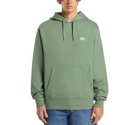 Dickies - Felpa casual da uomo - Summerdale Hoodie Sea Spray per Uomo - Taglia M - Verde